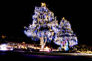 全國海拔最高聖誕樹以冰柱燈與流星燈管交錯設計，模擬流星雨劃破夜空的動態光影。