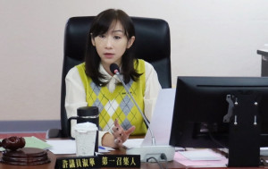 民主進步黨籍台北市議員許淑華。（圖／翻攝自許淑華Facebook）