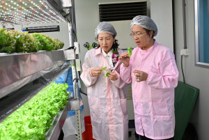 彰化智慧農業再添生力軍，全環控水耕蔬菜業者蔡季科農開幕，縣長王惠美參觀農場。圖／彰化縣政府提供