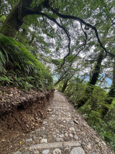 能高越嶺道西段步道。（林業保育署南投分署提供）