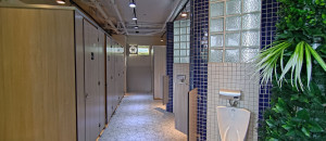 打造乾淨友善學習空間　花蓮縣推動66校廁所改造計畫