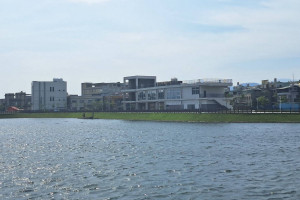 大湳滯洪池風貌。