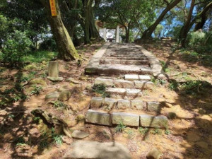 飛鳳山為新竹縣知名的健行步道。