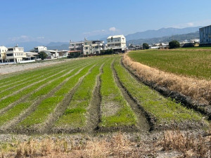 霧峰九成地是非都市計畫區。林重鎣