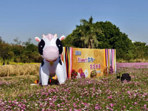 拍爆了！彰化8公頃花海盛開，1/17限定拔蘿蔔、逛市集。圖／記者鄧富珍攝