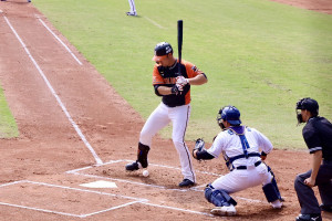 （圖／台南市政府提供）