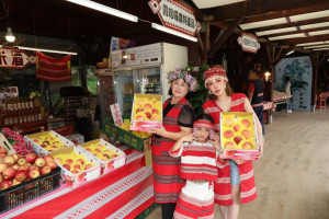 五峰清泉「峰市集」。