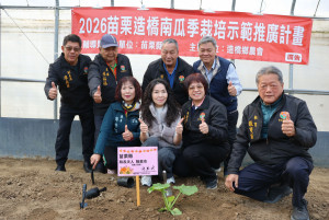 造橋南瓜季即將登場　縣長夫人種下超大南瓜