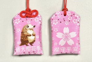 2026暨大櫻花季專屬御守，校方將於2月14日至22日的9天春節連假期間，每日提供400個限量御守，致贈給率先入場並支付停車費的小客車主。（暨大提供）