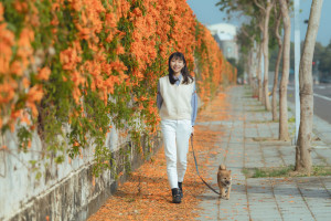 位於嘉義市區的農業部嘉義農業試驗分所外，長達百公尺的炮仗花正值盛開期／嘉義市府提供