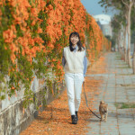 位於嘉義市區的農業部嘉義農業試驗分所外，長達百公尺的炮仗花正值盛開期／嘉義市府提供