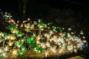屏東高樹「奇幻大津」2/5開幕（圖／屏東縣政府提供）