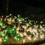 屏東高樹「奇幻大津」2/5開幕（圖／屏東縣政府提供）