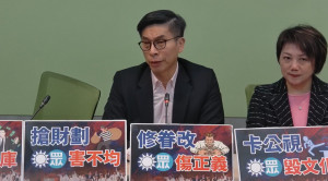 （圖／民進黨團直播）