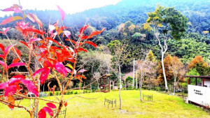 首件農牧用地申請露營場設立登記案件，由五峰鄉的「鹿林濤營地」奪得頭籌。