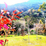 首件農牧用地申請露營場設立登記案件，由五峰鄉的「鹿林濤營地」奪得頭籌。