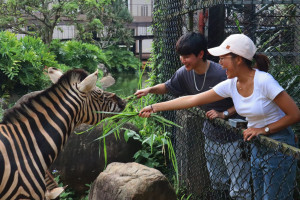 入住旅客姓名中含有「馬」或「馬部首」之文字，即可享有包含斑馬/河馬生態體驗、風味晚餐。