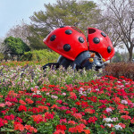 走春第一品牌邁入20年！「花在彰化」春節溪州公園登場。圖／彰化縣政府提供