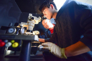 中原大學半導體產業學士學位學程將於115學年度首度招收新生，透過模組化課程、產業實習與業界共同授課，協助學生接軌產業。