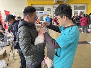 ▲高市動保處在阿蓮區老人活動中心舉辦今年首場偏遠地區巡迴犬貓絕育三合一活動。