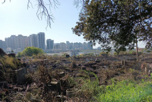 公墓空拍巡查。