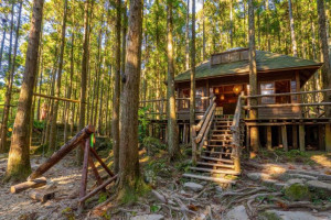 馬武督探索森林。