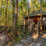 馬武督探索森林。