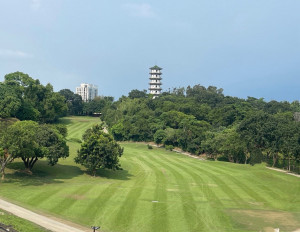 （圖／高雄市府工務局公園處）