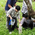 回收調查陷阱。（林業及自然保育署南投分署提供）