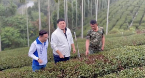 立委游顥邱處長等人赴竹山鹿谷地區會勘茶葉受創情形。（立委游顥服務處提供）