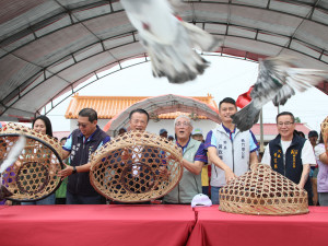 「2026義竹鴿笭文化季」今天在埤子頭聖德宮（媽祖廟）舉辦開籠儀式／嘉義縣府提供