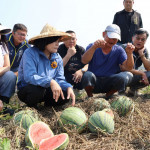 雲林縣長張麗善率農業團隊前往二崙田區進行四方會勘／翻攝照片