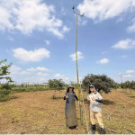 屏東推「生態薪水」守護草鴞　打造人與自然共存農地