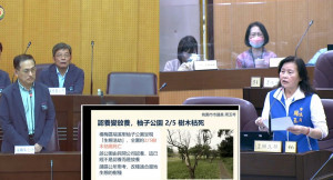 市議員周玉琴針對柚子公園景觀缺失，亦要求落實防治病蟲害，共同提升在地居住環境。