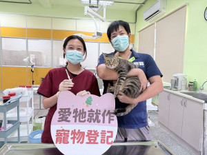 屏東縣家貓登記絕育送禮券　5月1日開跑