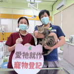 屏東縣家貓登記絕育送禮券　5月1日開跑