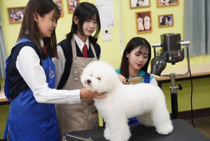 寵物科照顧愛犬。林重鎣