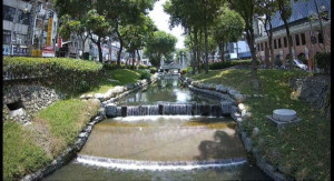 綠川河道環境維持良好，市府持續透過河川治理、水質改善及景觀維護工作