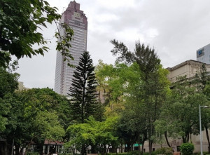 台北二二八公園（圖／資料照）