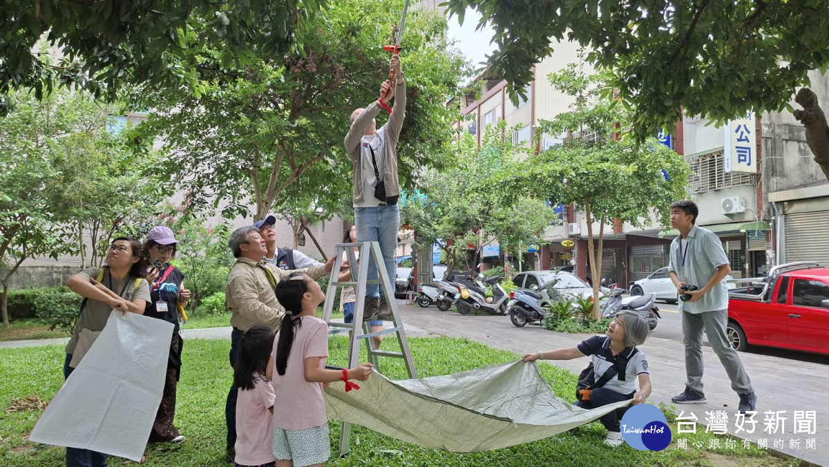園區內保留的老欉黑葉荔枝樹採自然方式生長，不施用農藥及化學肥料