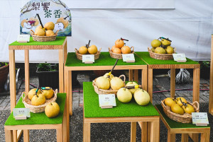 （圖／宜蘭縣府農業處）