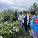 豪雨重創彰化農作，王惠美勘災溪州芭樂籲中央擴大天然災害現金救助品項。圖／彰化縣政府提供