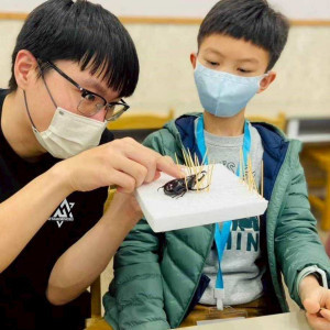昆蟲小學堂及標本DIY，讓小朋友們從育樂中學習新知。