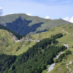 合歡山森林遊樂區位於中央山脈是國內知名的高山避暑勝地。（林業及自然保育署南投分署提供）