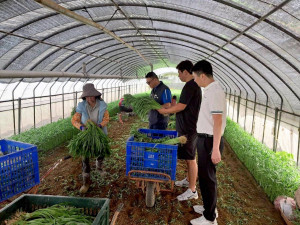 桃園市政府農業局全面啟動農業防颱應變機制，前往轄內稻田、農園、設施蔬菜園、桃園果菜市場及相關農業場域視察防颱措施與民生蔬菜供應情形。