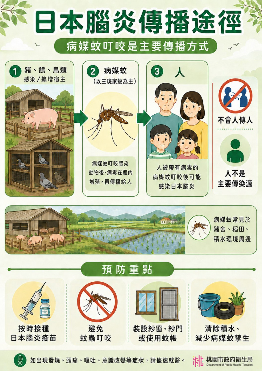 日本腦炎宣導單張。