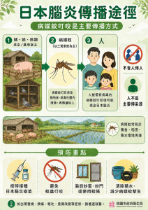 日本腦炎宣導單張。