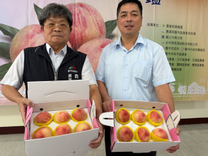 「臺中領鮮」梨山水蜜桃限時免運產地直送鮮甜到家