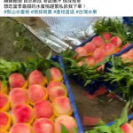 賣水蜜桃詐騙。(圖/烏日分局提供)