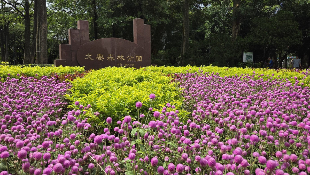 大安森林公園（圖／台北市公園處提供）